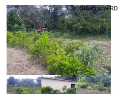 Amplios Lotes De Terrenos Autopista 6 De Noviembre!!